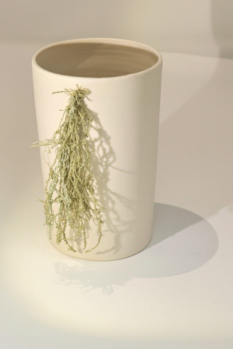 small boreal beard lichen pot i2