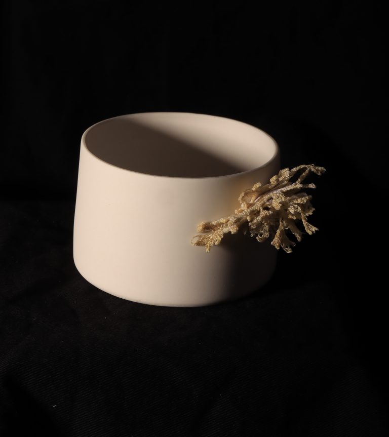 small vessel with uncoloured lichen