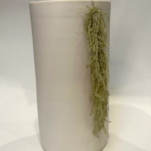 Moss Pot #0110